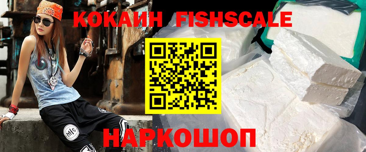 купить наркотик  Кокаин Fish Scale  Кокаин 97%  Вход с VPN  Котлас 