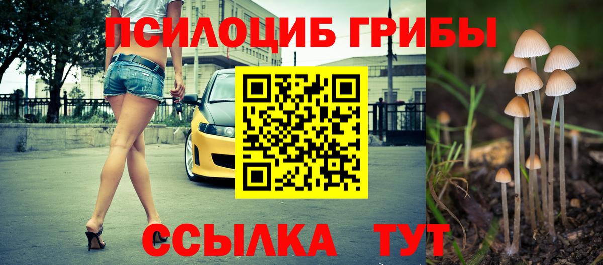 Котлас  Псилоцибиновые грибы Psilocybine cubensis  Вход с VPN 